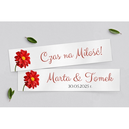 Tablice Rejestracyjne 2 szt. - Sweet Love Motyw 5