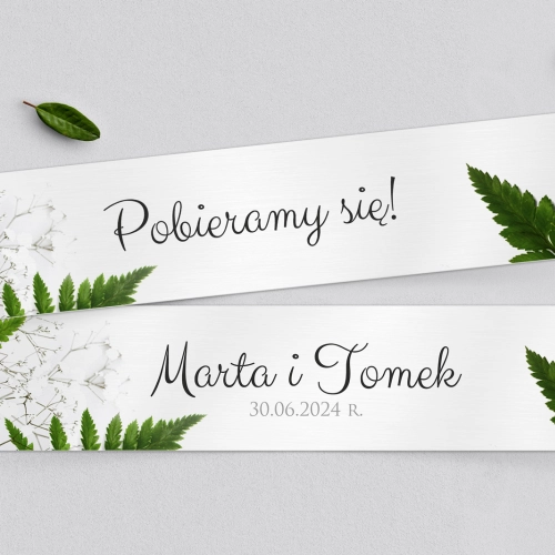 Tablice Rejestracyjne 2 szt. - Soft Motyw 2