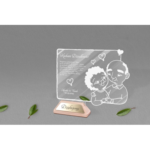 Statuetka Akrylowa - Wzór 4D