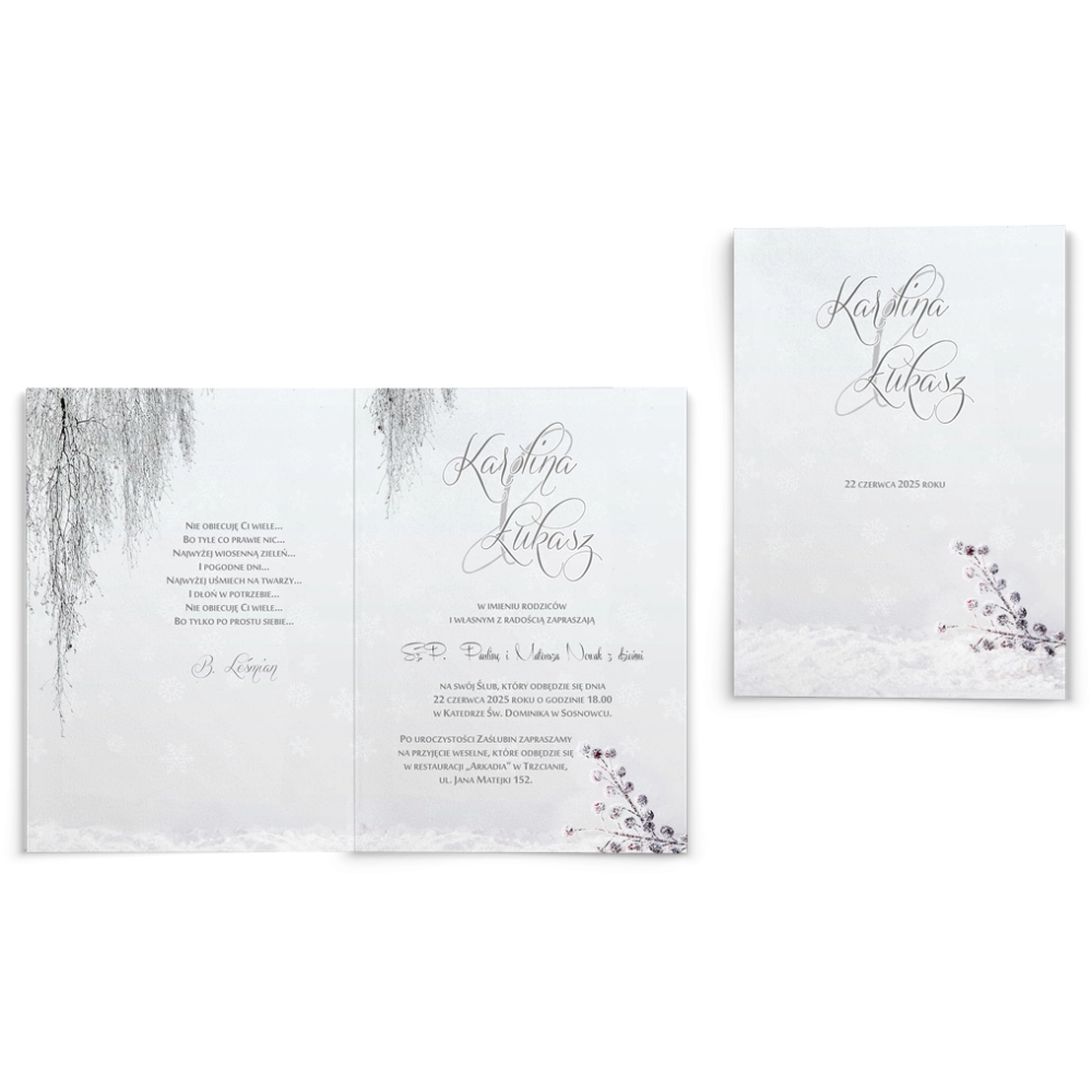 Zaproszenia ślubne Frozen - Składane Motyw 2