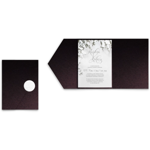 Zaproszenia ślubne w Etui Frozen motyw 3