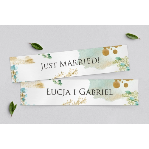 Tablice Rejestracyjne 2 szt. - Golden Green Motyw 3