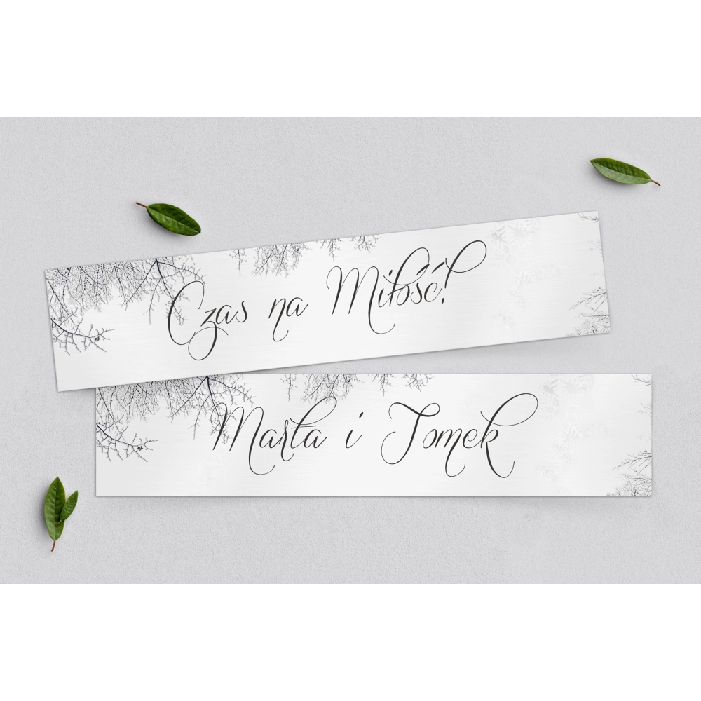 Tablice Rejestracyjne 2 szt. - Frozen Motyw 1