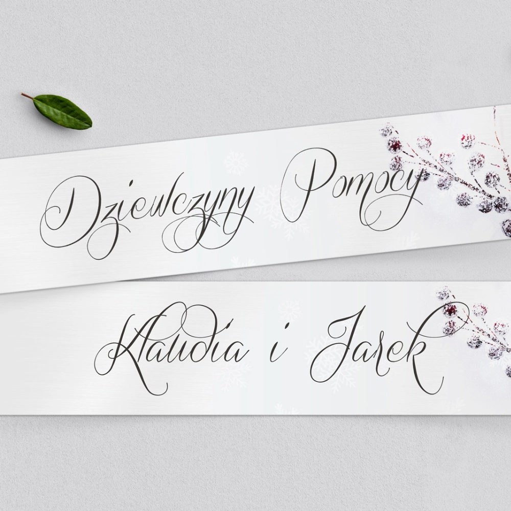 Tablice Rejestracyjne 2 szt. - Frozen Motyw 2