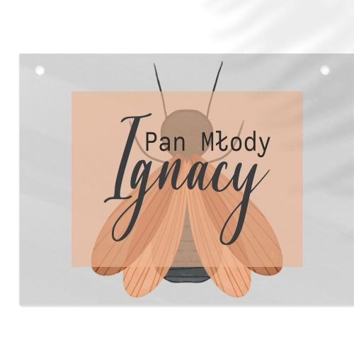 Zawieszka na krzesła - Prostokątna Butterflies - Motyw 2