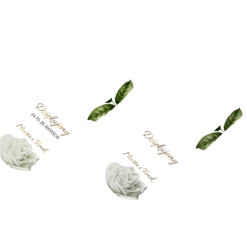 Otwieracz i zamykacz - Dream Motyw 1