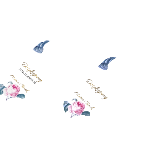 Otwieracz i zamykacz - Dream Motyw 3