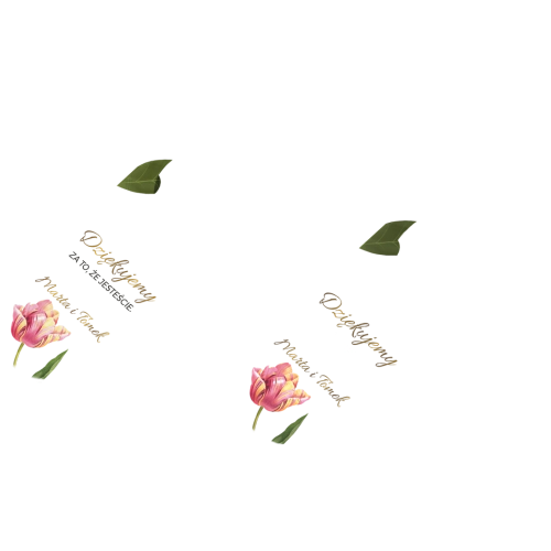 Otwieracz i zamykacz - Dream Motyw 6