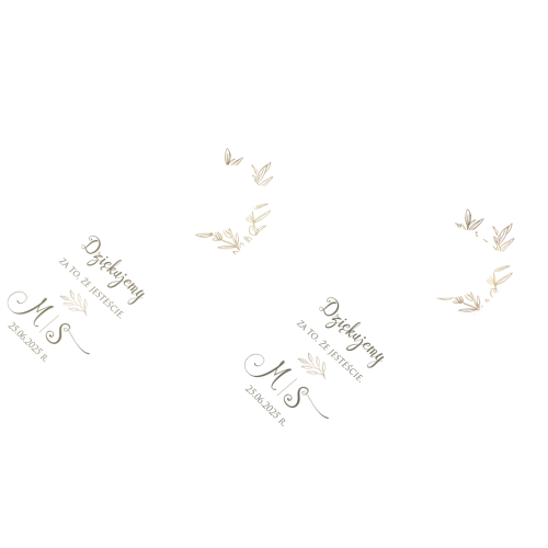 Otwieracz i zamykacz - Fiori Motyw 1