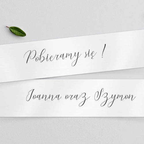 Tablice Rejestracyjne 2 szt. - Minimalistyczne Motyw 1
