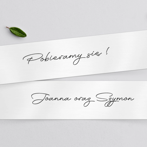 Tablice Rejestracyjne 2 szt. - Minimalistyczne Motyw 2