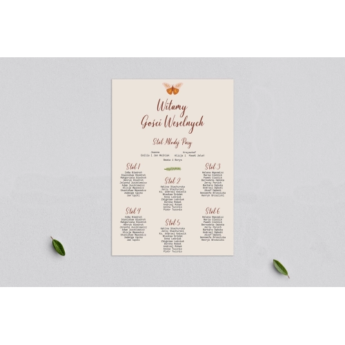 Plan stołów weselnych Butterflies- Motyw 1