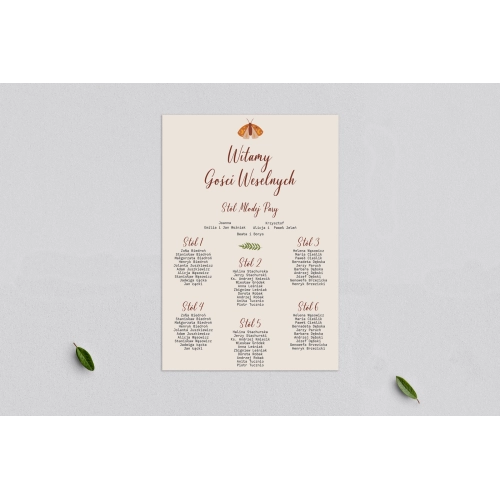 Plan stołów weselnych Butterflies - Motyw 3