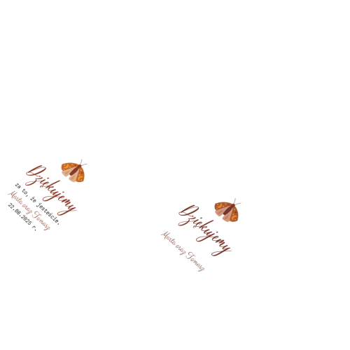 Otwieracz i zamykacz - Butterflies - Motyw 3