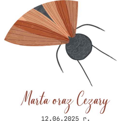 Topper na tort weselny - Butterflies - Motyw 2