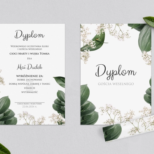 Dyplomy dla Dzieci - Soft Motyw 1