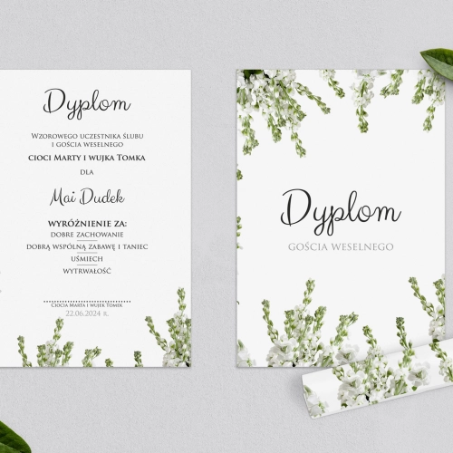 Dyplomy dla Dzieci - Soft Motyw 8