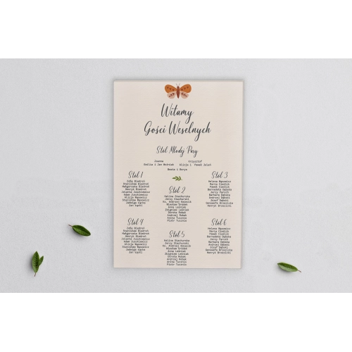 Plan stołów weselnych na płótnie Butterflies - Motyw 2