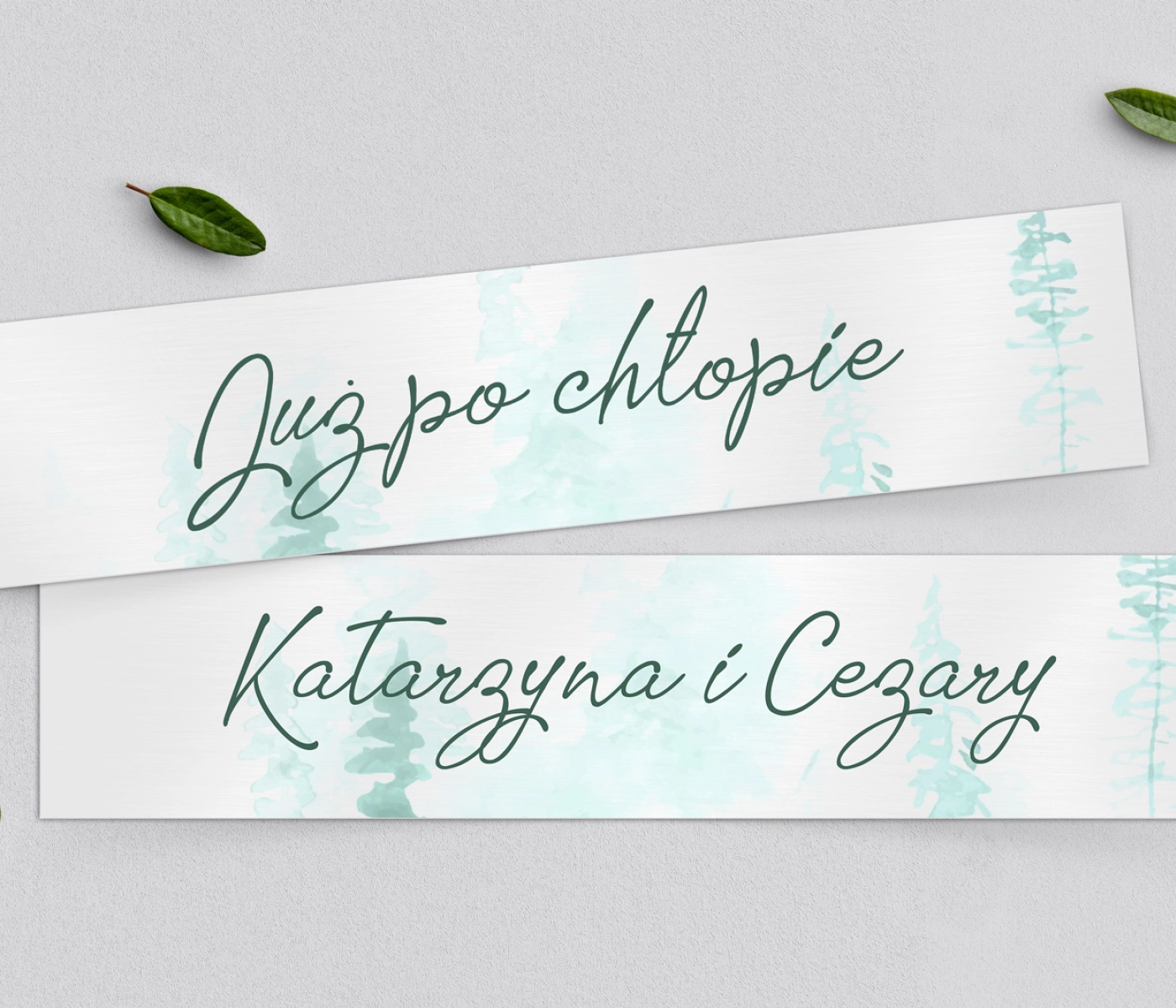 Tablice Rejestracyjne 2 szt. - Gaja Motyw 3
