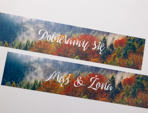 Tablice Rejestracyjne 2 szt. - Forest - Motyw 3