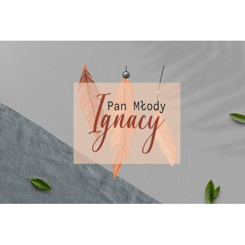 Zawieszka na krzesła - Prostokątna Butterflies - Motyw 1