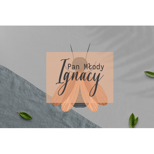 Zawieszka na krzesła - Prostokątna Butterflies - Motyw 2