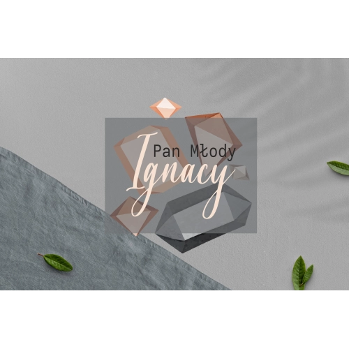 Zawieszka na krzesła - Prostokątna Butterflies - Motyw 3