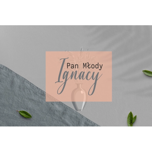 Zawieszka na krzesła - Prostokątna Butterflies - Motyw 4