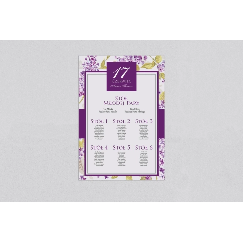 Plan stołów weselnych Nasz Dzień Motyw 2