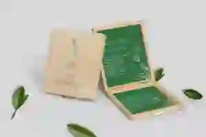 Zaproszenie dla Rodziców - naturalne Papers Motyw 1