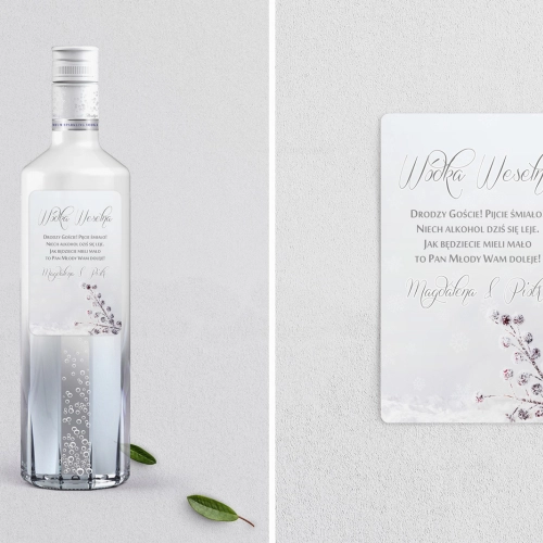 Naklejki na alkohol - Frozen Motyw 2