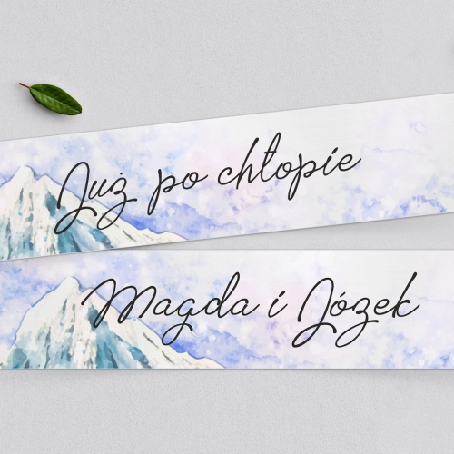 Tablice Rejestracyjne 2 szt. - Gaja Motyw 6