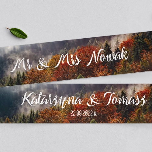 Tablice Rejestracyjne 2 szt. - Forest - Motyw 3