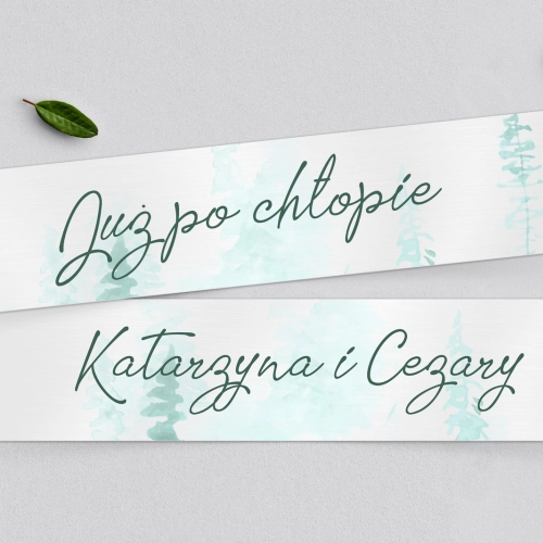 Tablice Rejestracyjne 2 szt. - Gaja Motyw 3