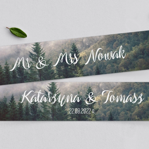 Tablice Rejestracyjne 2 szt. - Forest - Motyw 2