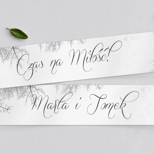 Tablice Rejestracyjne 2 szt. - Frozen Motyw 1