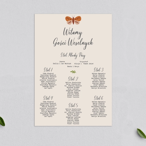 Plan stołów weselnych Butterflies - Motyw 2