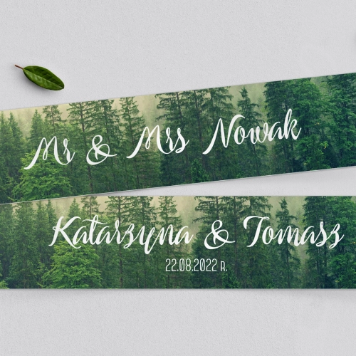 Tablice Rejestracyjne 2 szt. - Forest - Motyw 1