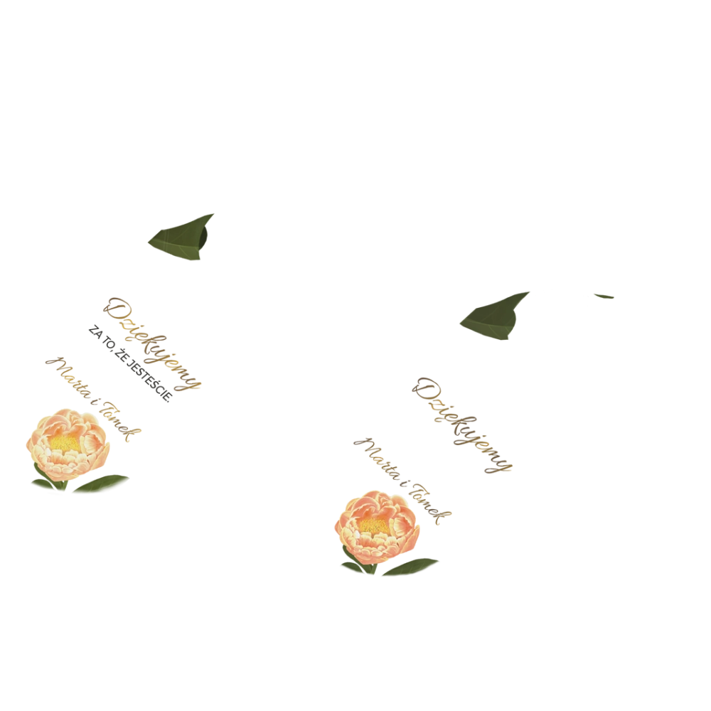 Otwieracz i zamykacz - Dream Motyw 5