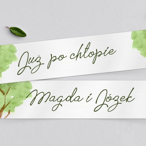 Tablice Rejestracyjne 2 szt. - Gaja Motyw 4