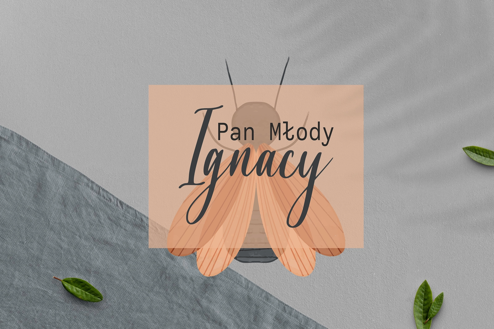 Zawieszka na krzesła - Prostokątna Butterflies - Motyw 2