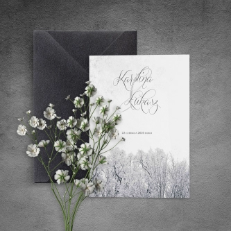 Zaproszenia ślubne Frozen - Składane Motyw 1