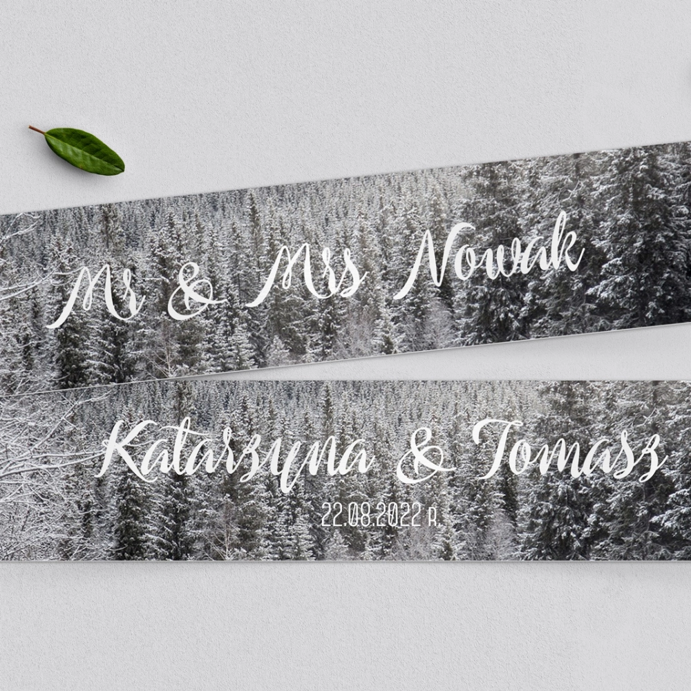 Tablice Rejestracyjne 2 szt. - Forest - Motyw 4