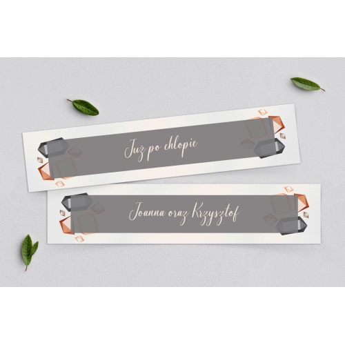 Tablice Rejestracyjne 2 szt. - Butterflies Motyw 3