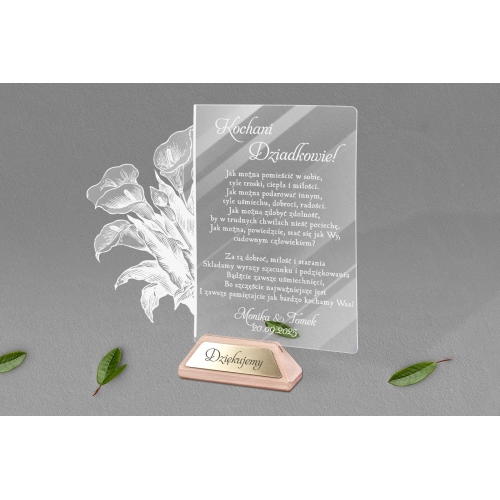 Statuetka Akrylowa - Wzór 11D