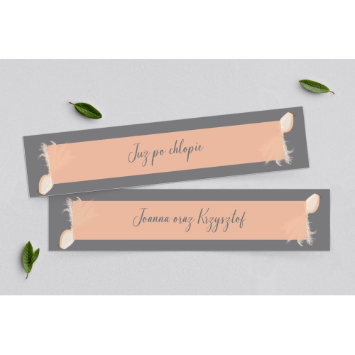 Tablice Rejestracyjne 2 szt. - Butterflies Motyw 4